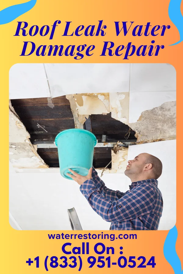 Roof Leak Water Damage Repair in Franklin, TX
